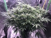 7CDD90B9-D9BE-4992-AF42-0F5CABB09BA2