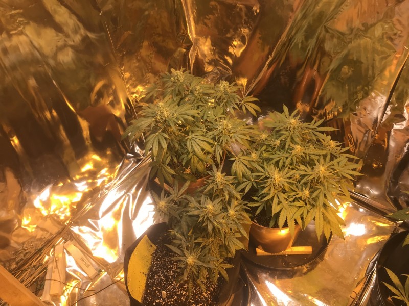 640DCE48-E373-4D2E-8901-6950FF30A0D2