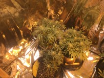 640DCE48-E373-4D2E-8901-6950FF30A0D2