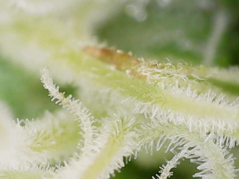 DEA959DC-A731-48CC-8795-3C89E6978223