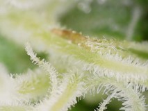 DEA959DC-A731-48CC-8795-3C89E6978223