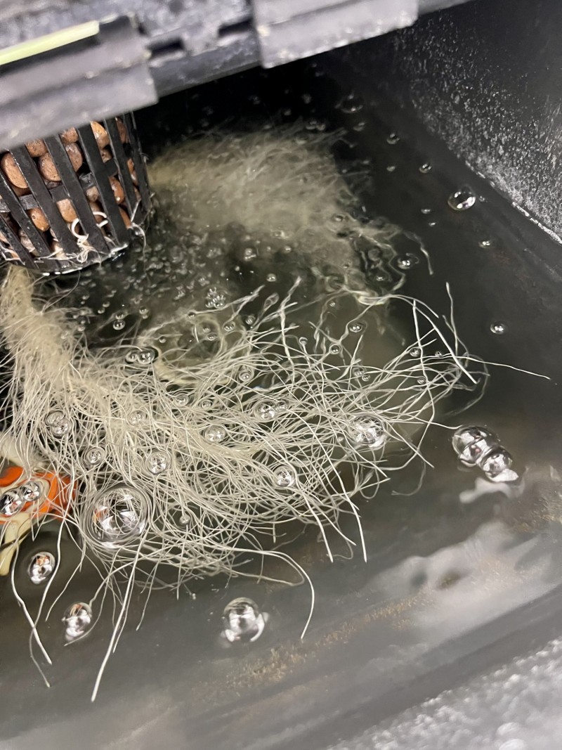 F3FB4973-7C58-46AF-81C4-10236E91F544