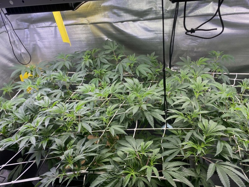 F82DAA5D-D02B-4007-9B9B-247AEB17ECFB