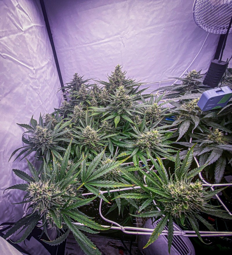 38D177A1-4122-4F9E-8E64-EEB945998501