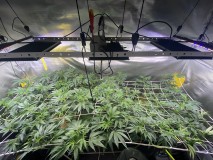 B9B7FDBA-BA99-4D54-B04F-FEC62EEE2D69