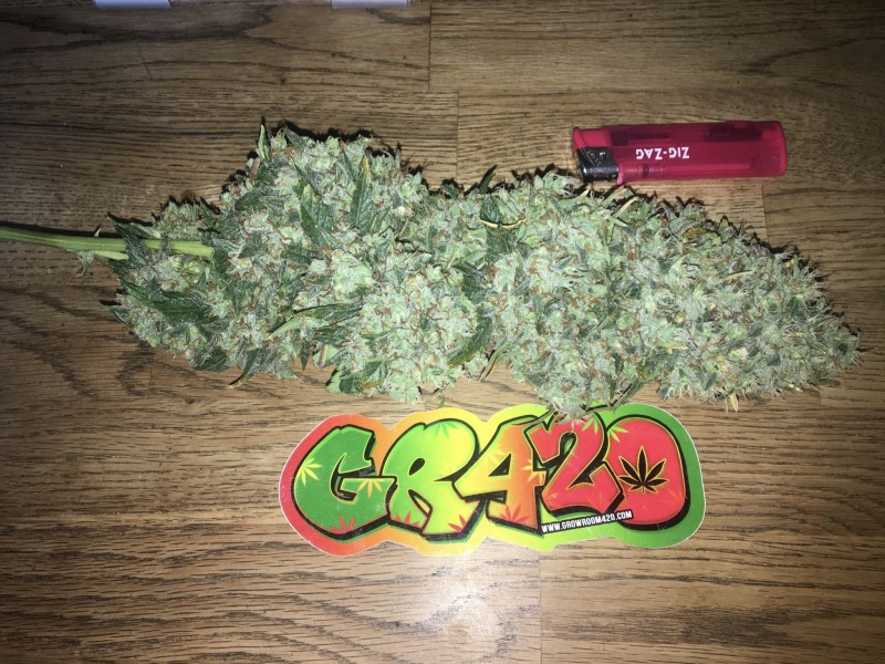 D7C4C589-741E-4055-97B4-30B8B5A11432