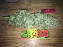 D7C4C589-741E-4055-97B4-30B8B5A11432