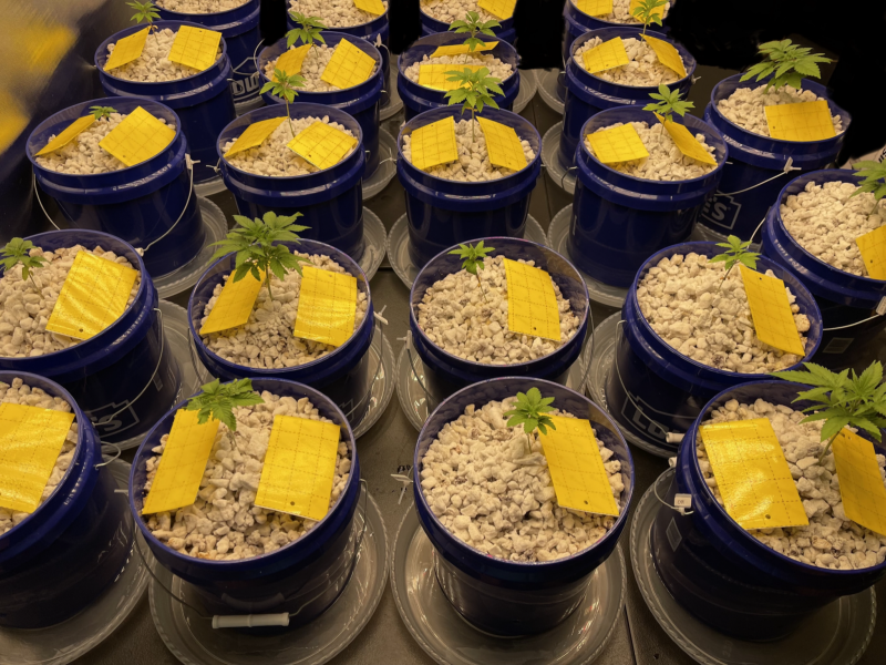 EF711704-DEC4-4A56-8891-972F87F3115B