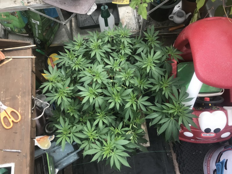 7C7801D3-5C53-4D7C-9E4B-F83A099563E2