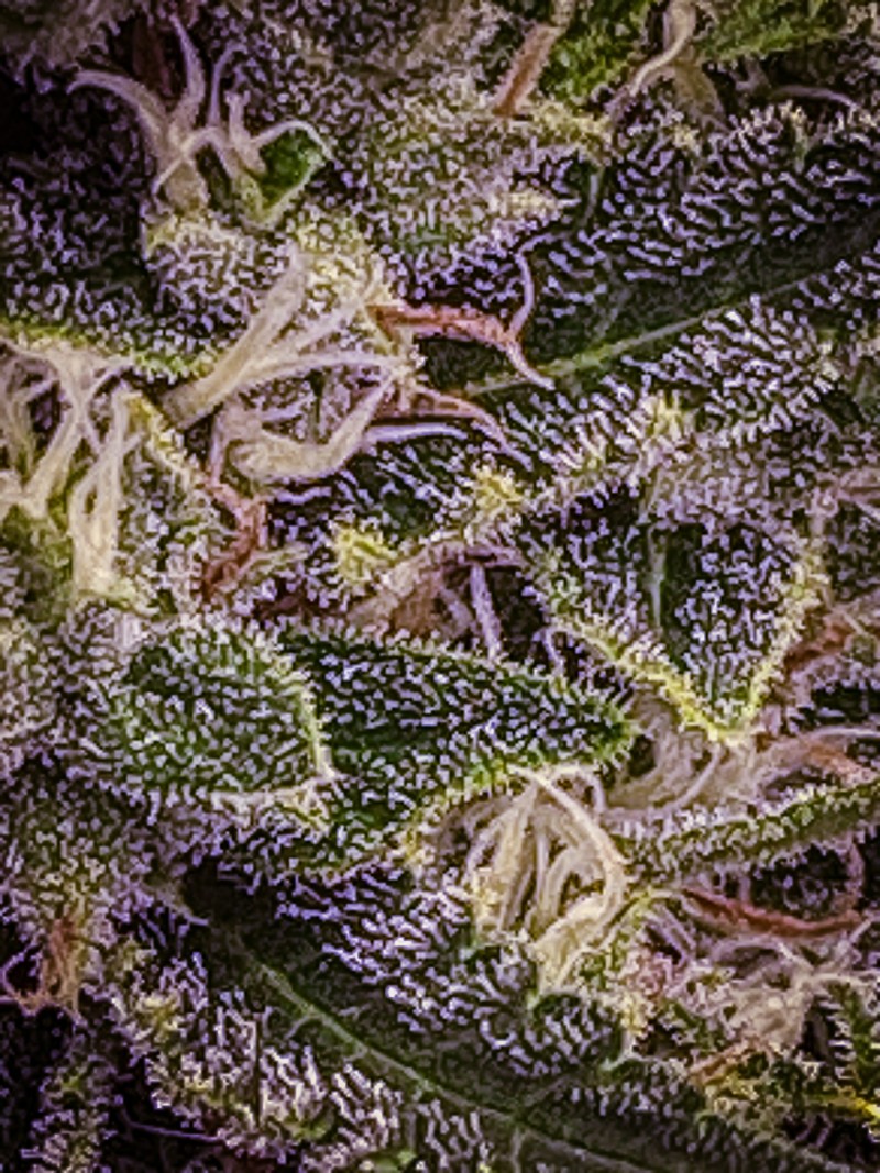 6CDE97AF-5305-415E-8DCE-147006BDED8F