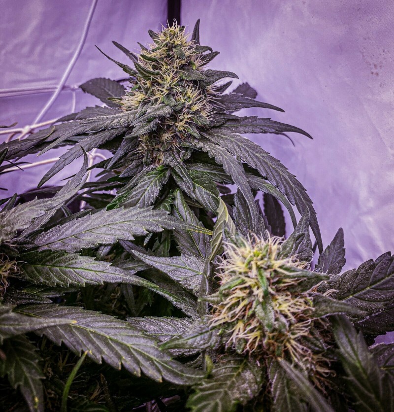 D6EDAD26-5CBF-4D73-9BCA-328846962AD4