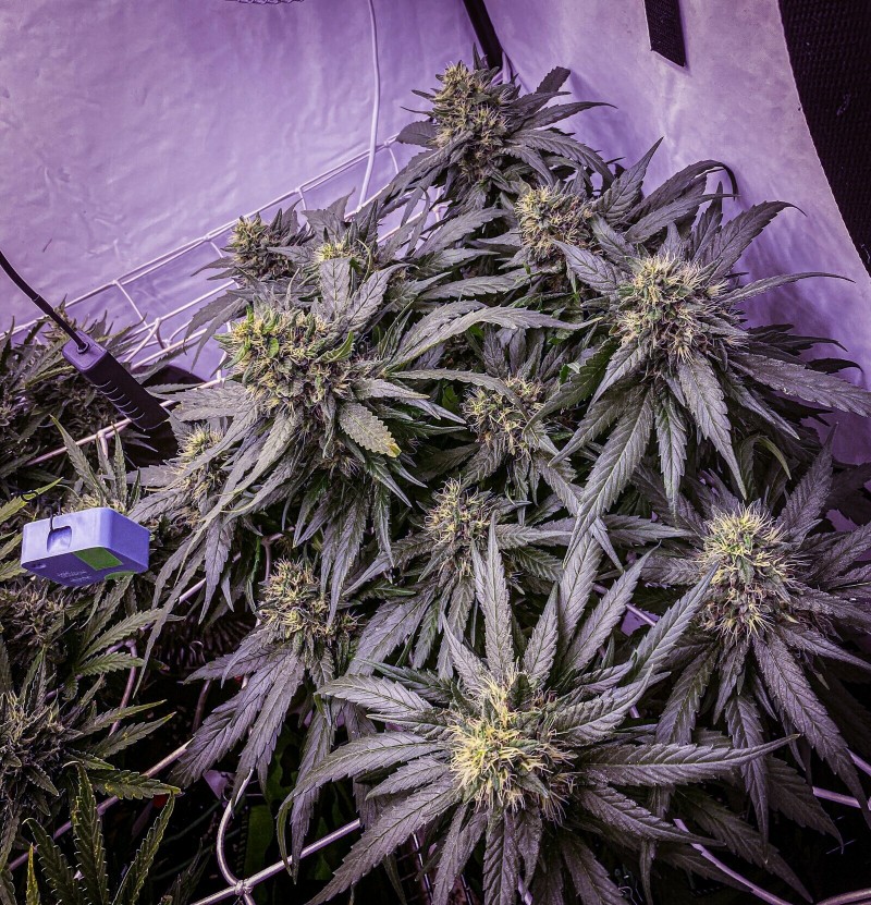 A1C525DB-01EB-49F4-983F-23A7526CF637