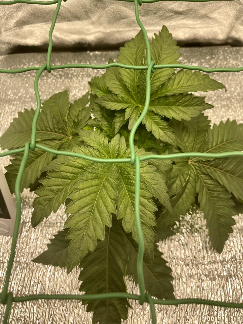 257EDCAB-E6E8-4A23-897C-897EF7D8AB4E