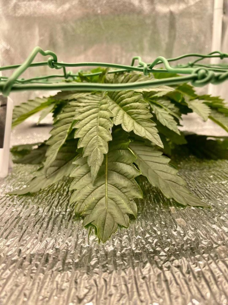 WeChat Image_20210727214023