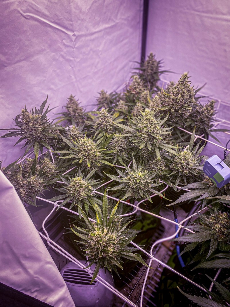 B9DD1B8A-0E57-4629-8B04-C8E20D7C7523