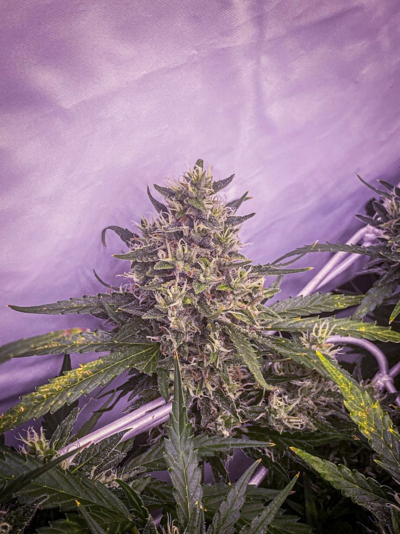 2980E46B-6193-46CA-B2DF-E0A1FE3537FA