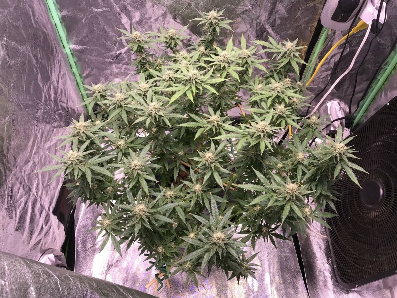 318E1A5B-B9B1-4D7A-9FCF-18BBDFC06336