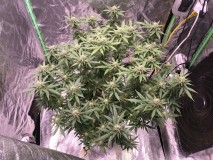 318E1A5B-B9B1-4D7A-9FCF-18BBDFC06336