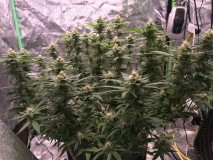 96F40495-0C0F-4B92-BBC8-6D79777768F3