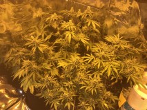 6642420A-F78F-414E-8659-4F8529067EC2