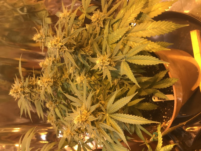 175864A1-BD1B-4913-800A-A72C0E06DC95