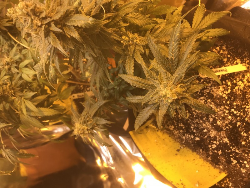 AD683B49-4051-4B69-B0FE-4F905D560AAB