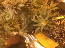 AD683B49-4051-4B69-B0FE-4F905D560AAB