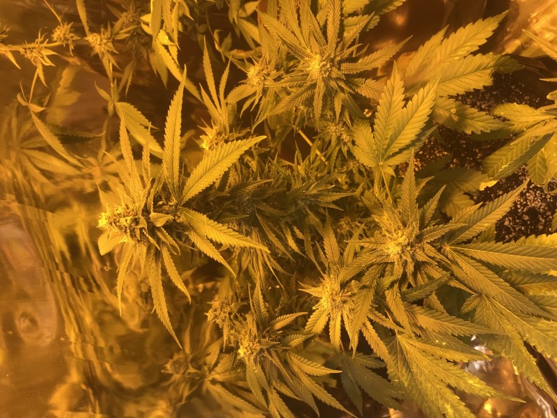 5D3C4A8C-CD59-47DD-ADB2-FAB74BFD7E03