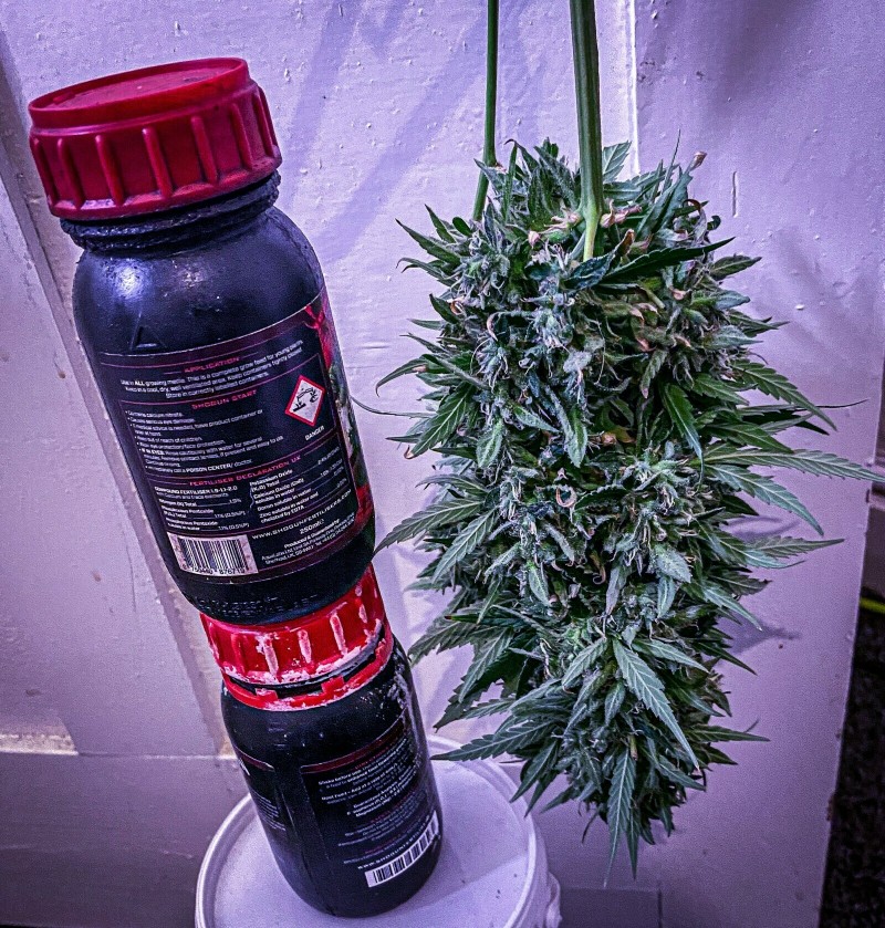 661DDFAB-0581-43CE-BF5E-88DD1CB47231