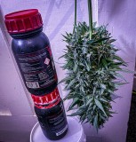 661DDFAB-0581-43CE-BF5E-88DD1CB47231