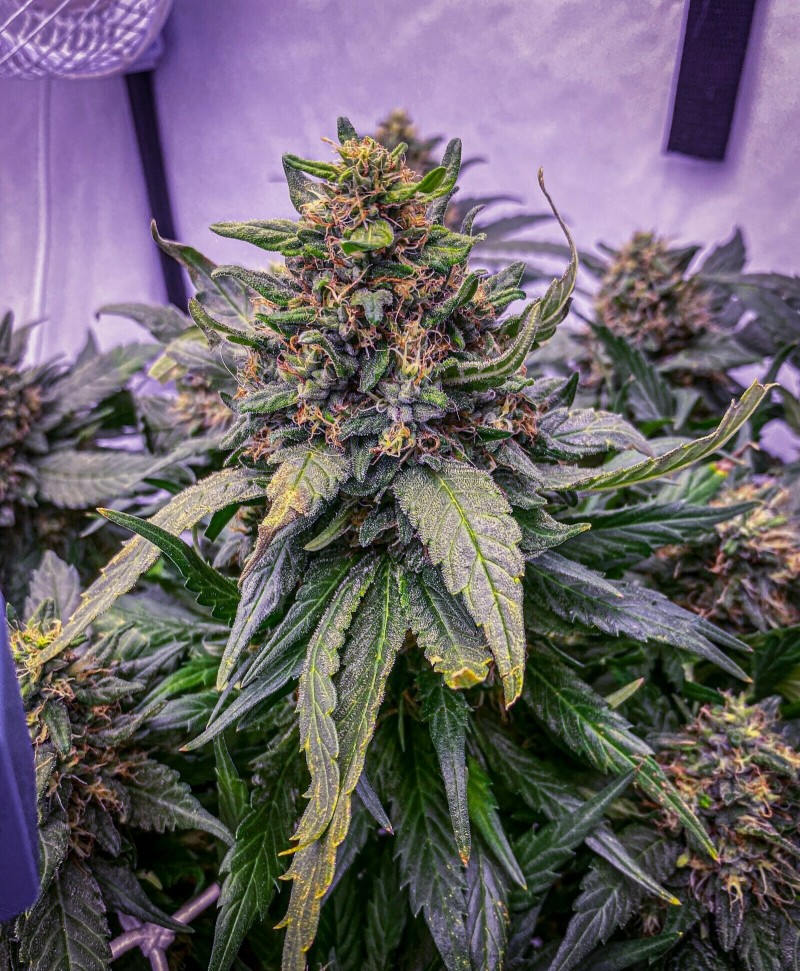 03FBB9B1-8234-4FBD-9208-2EF28FFF6CB9