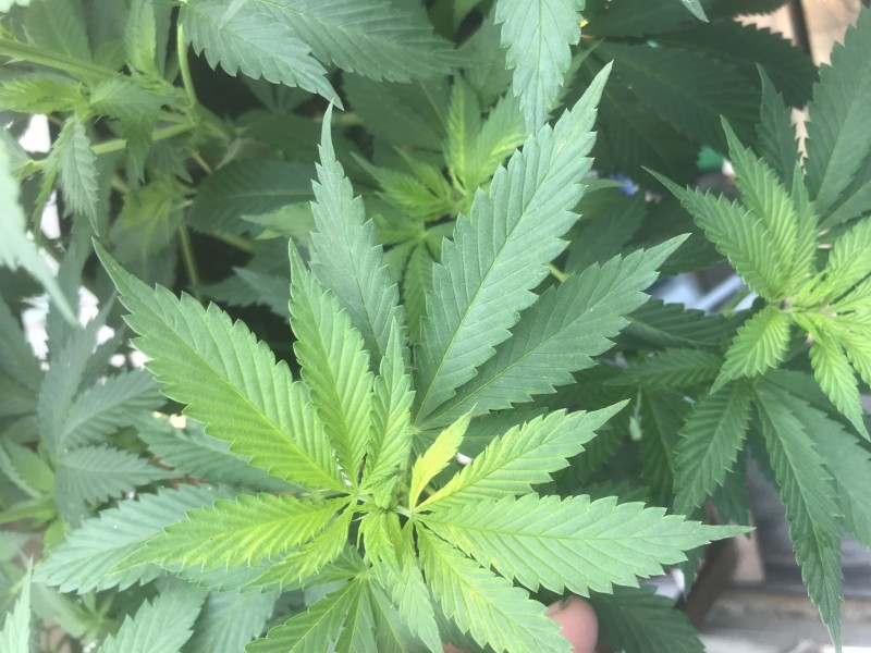 DF2A8281-0554-454E-9621-D12F531B273C