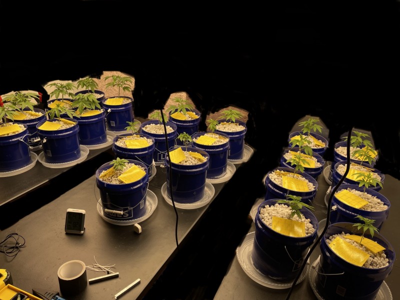 4F6934E3-52EA-41AC-AF24-68FE75556ABB