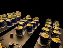 4F6934E3-52EA-41AC-AF24-68FE75556ABB