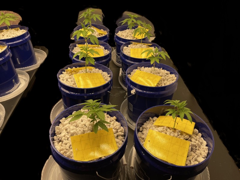 B512EEFC-5E63-4B7E-954F-71F92EAB5669