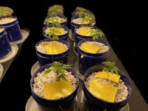 B512EEFC-5E63-4B7E-954F-71F92EAB5669