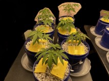 5610F58F-2060-4367-8994-D4062E748822