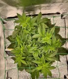 WeChat Image_20210802083819