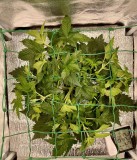 WeChat Image_20210802083831