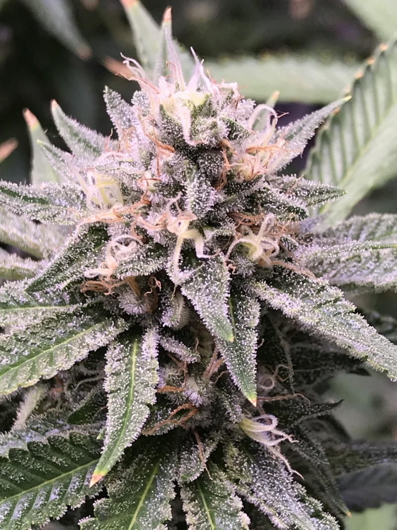 9C826FAD-5998-4A5B-9CC6-11CABB12FAB4