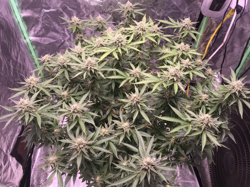 4ECD69FF-B403-4F5F-96A0-3B5AD31CCD94