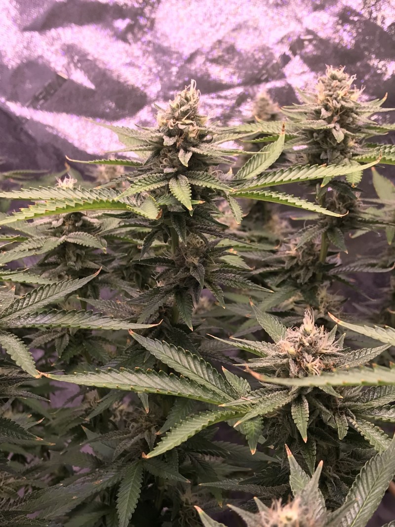 C024C4B4-7855-4272-9CAA-098D1FEC62F9