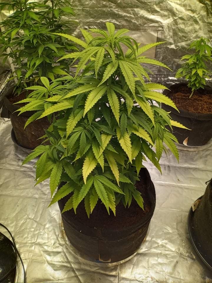 46B99E86-77D4-4F1F-B09F-0FC1AB01992C