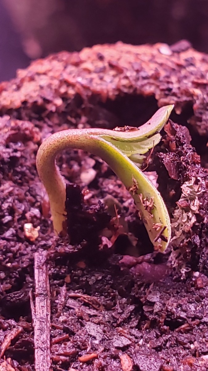 1628035271680229958500578338333