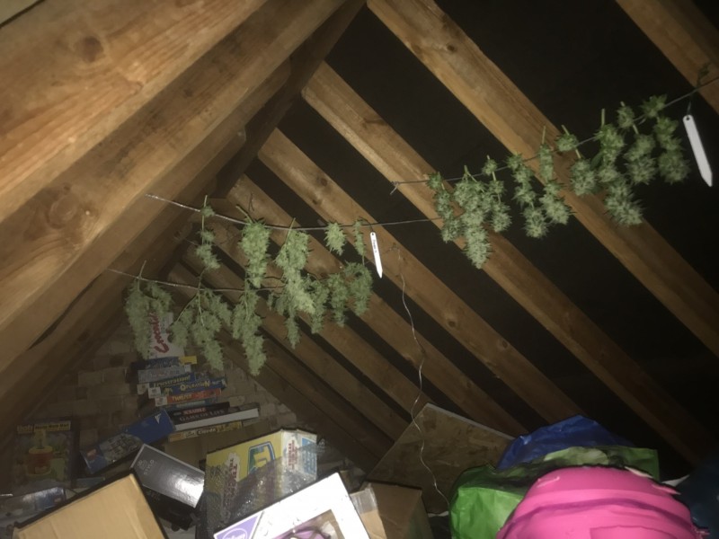 B95CD1C4-0338-47EC-ABBF-796B05558380