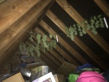 B95CD1C4-0338-47EC-ABBF-796B05558380