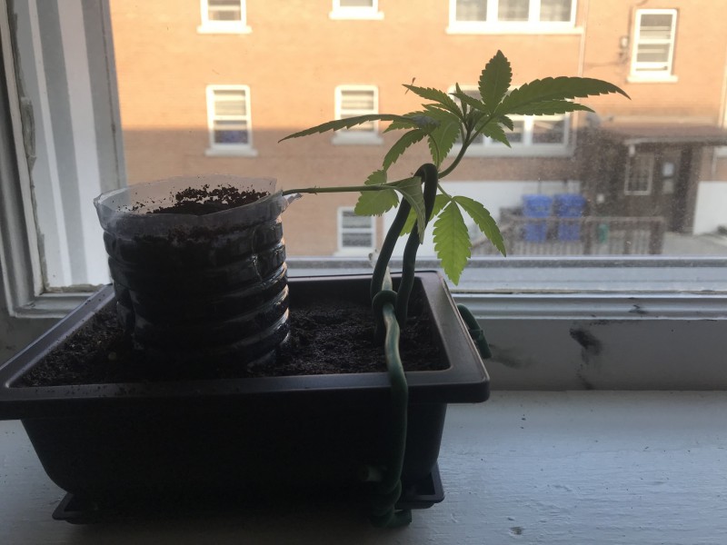 1A19751B-5A58-41F9-88E7-45C93FAD4178