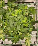 WeChat Image_20210805085355