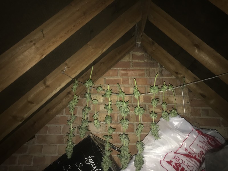 915B7C6D-B22C-48DF-890A-36632B9A64CF