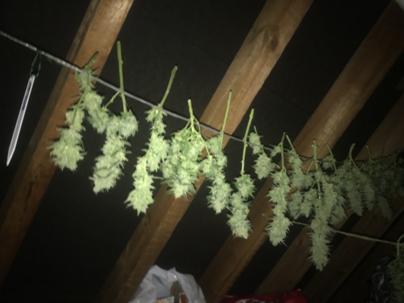 1F8338C1-FF34-4AEB-8524-42F6BFF74CFD